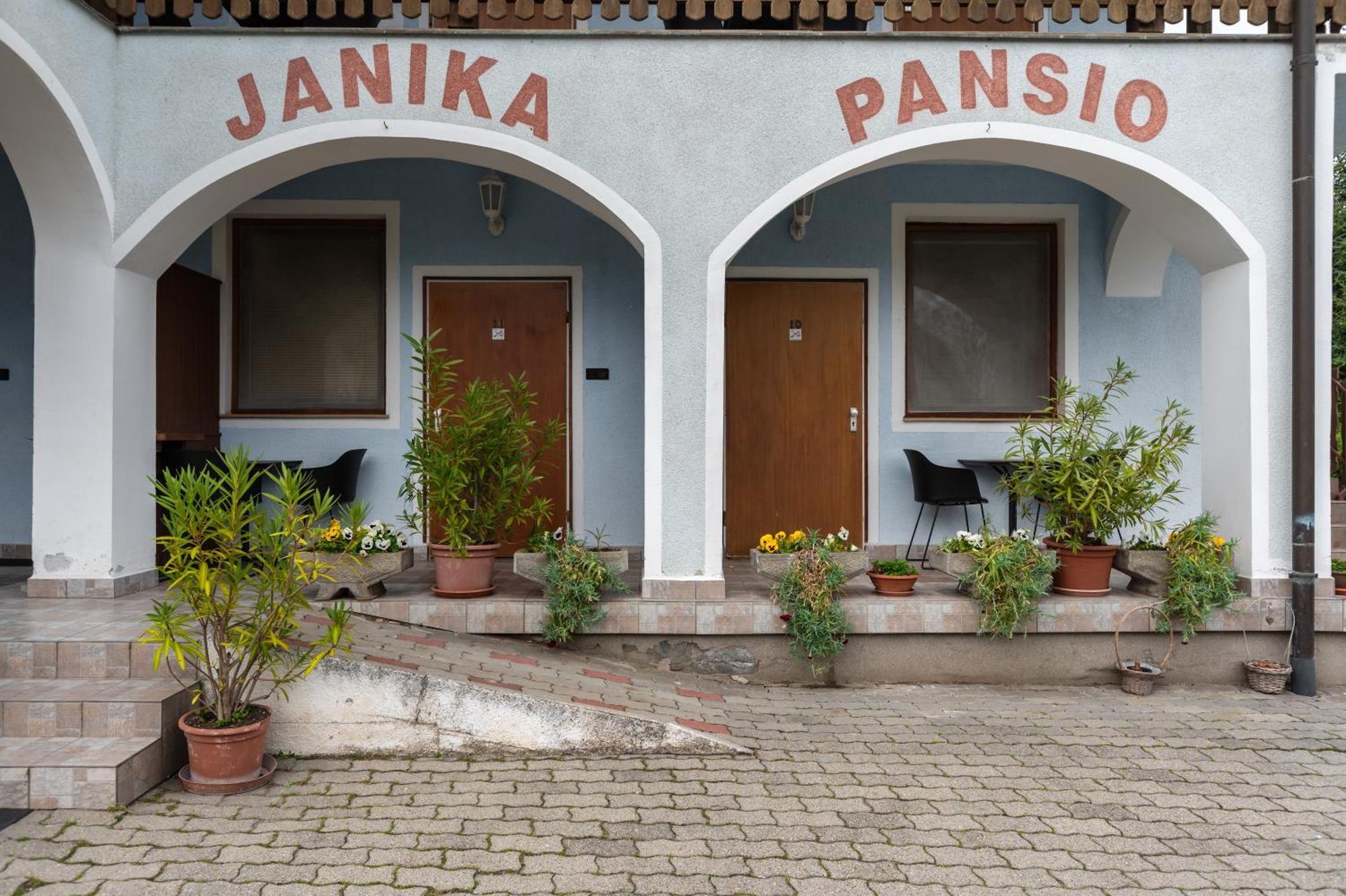 Janika Pension Vonyarcvashegy Dış mekan fotoğraf